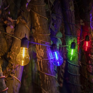 https://www.zhongxinlighting.com/15ft-christmas-lights-ps50-bulb-led-string-lights-2.html