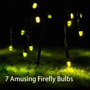 7 Amusing Firefly Bulbs