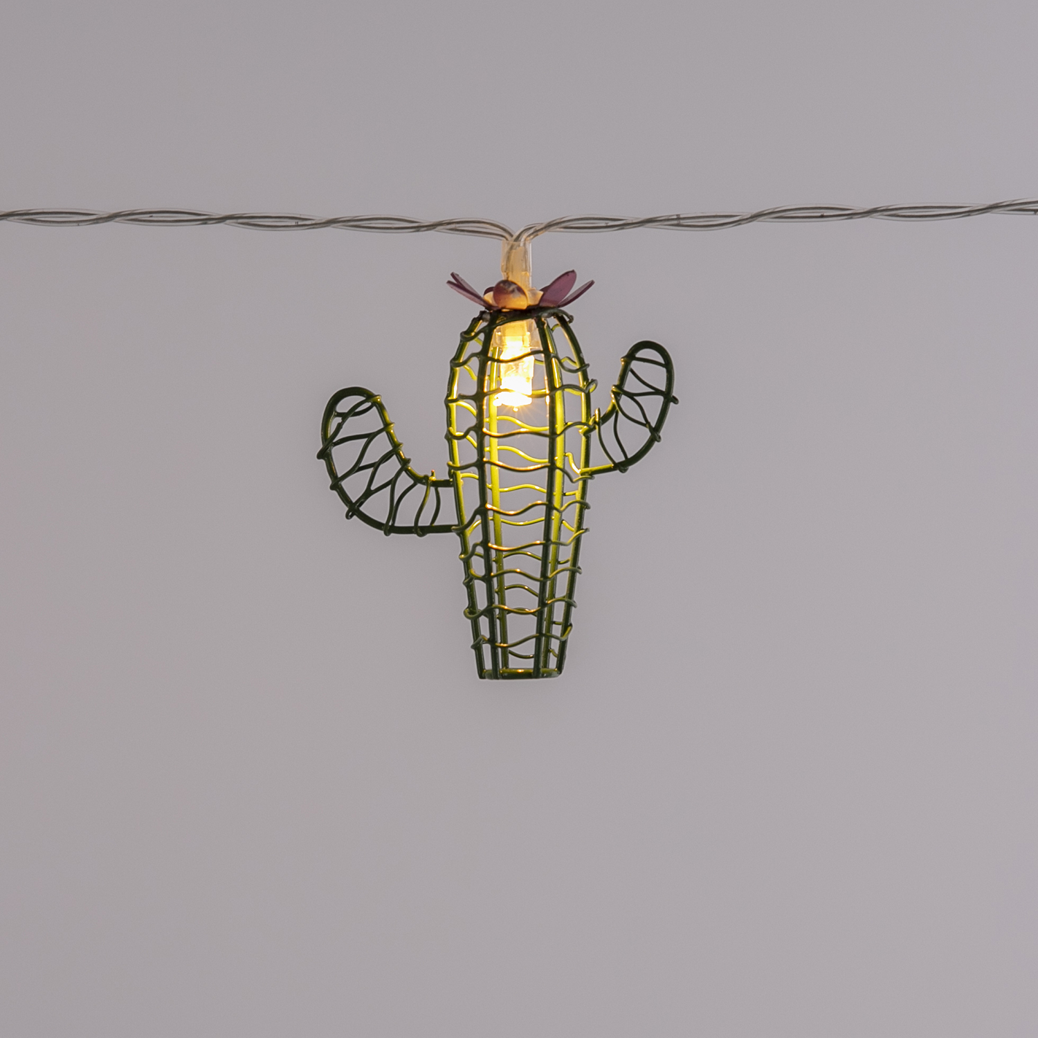 Cactus LED String Lights