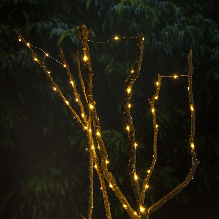 Fairy String Lights