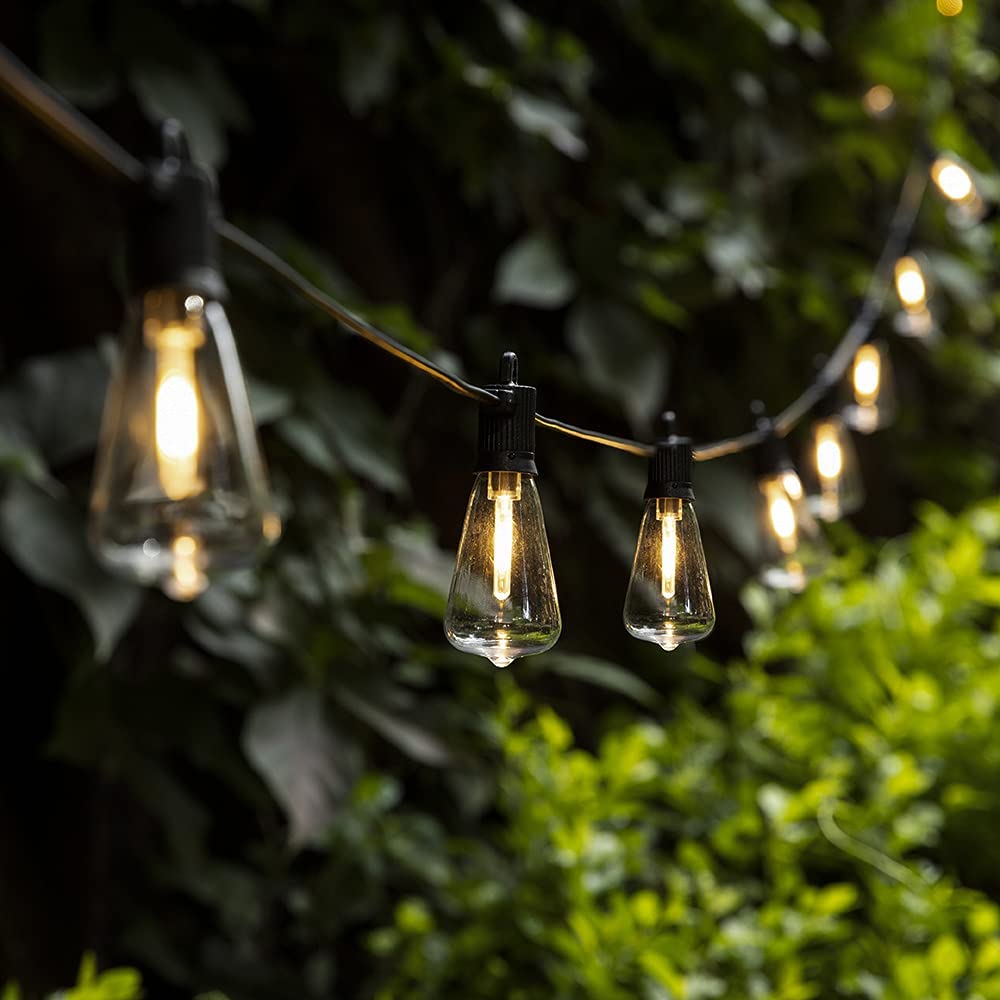 Festoon Lights