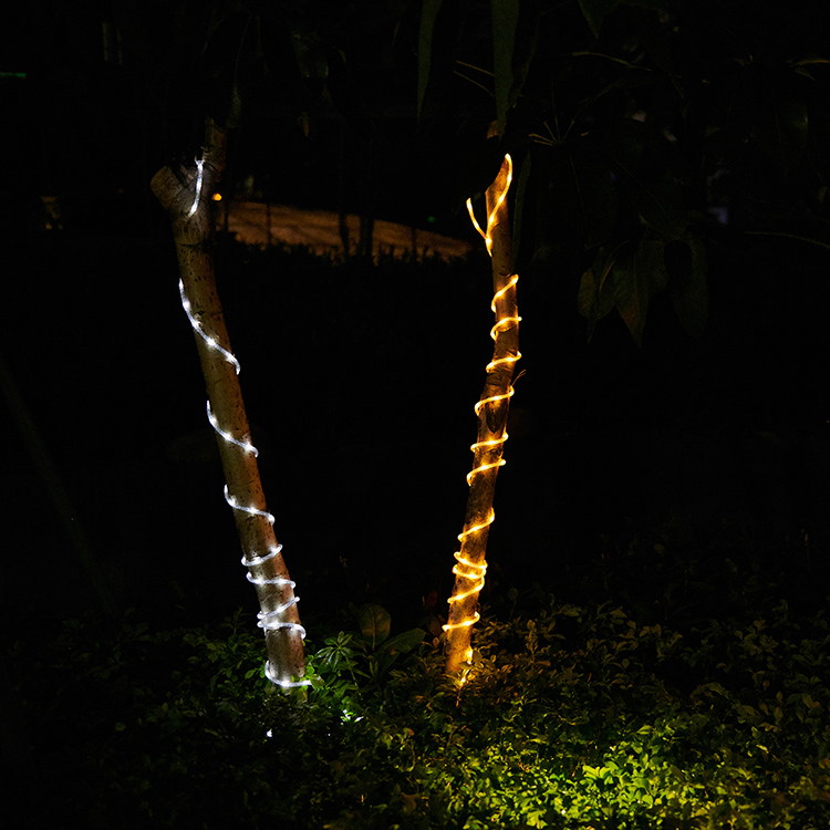 Flexible led rope lights