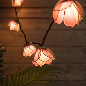 KF03680-UL(6)