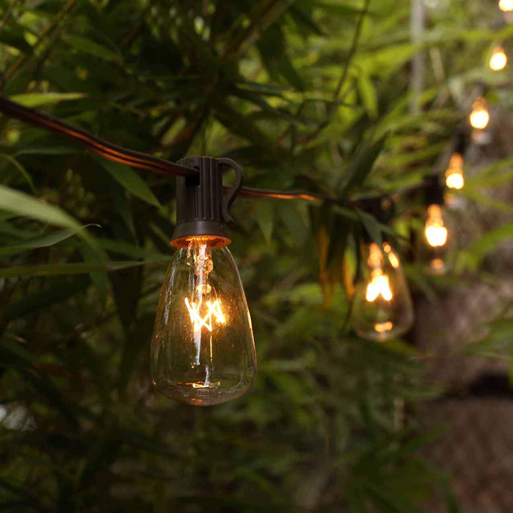 edison lights outdoor string