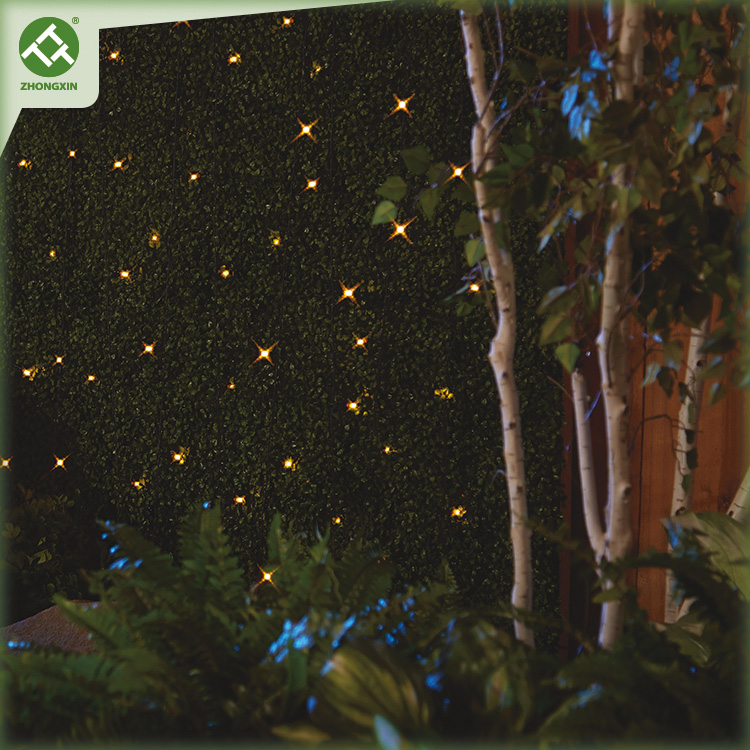 https://www.zhongxinlighting.com/