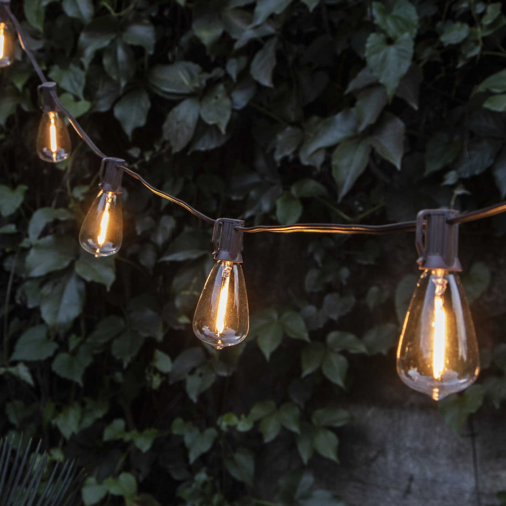 LED Bulb string lights