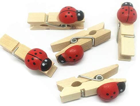 Ladybug Photo Clip Peg String Lights