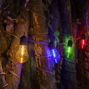 PS50 bulb string lights