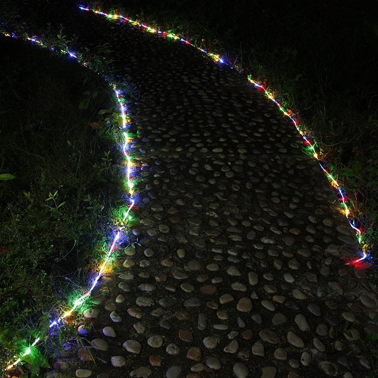 Pathway Rope Lights