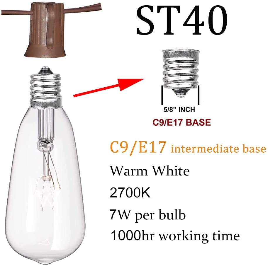 ST40 Edison Bulb lights