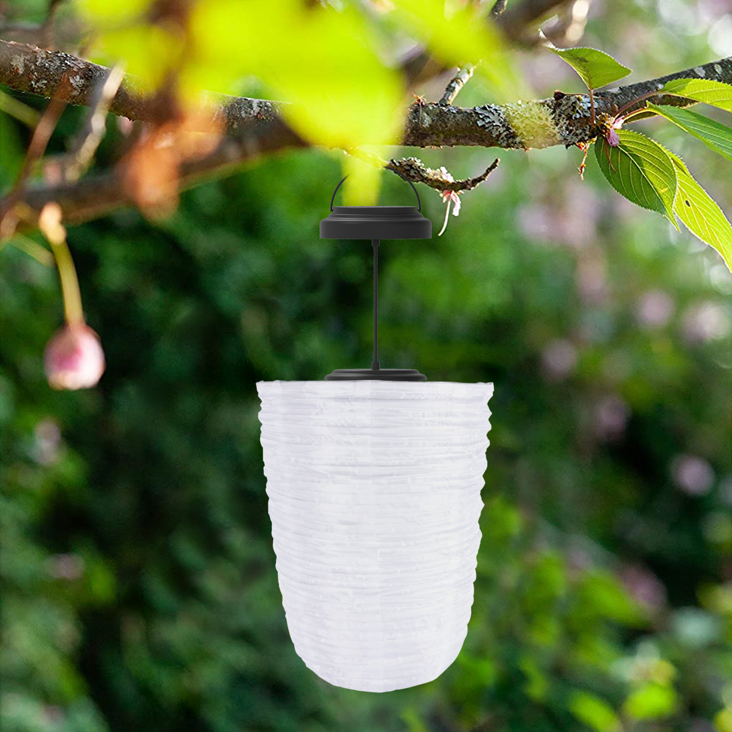 Solar hanging lights