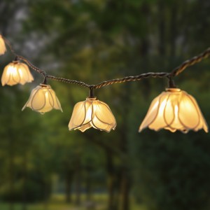 White Floral Blooms String Lights