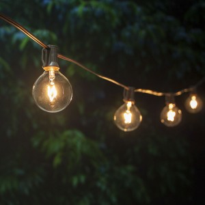 https://www.zhongxinlighting.com/g50-outdoor-patio-clear-globe-string-lights-10-ft- waterproof-lights-zhongxin.html