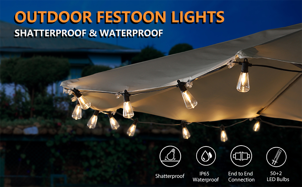 festoon light