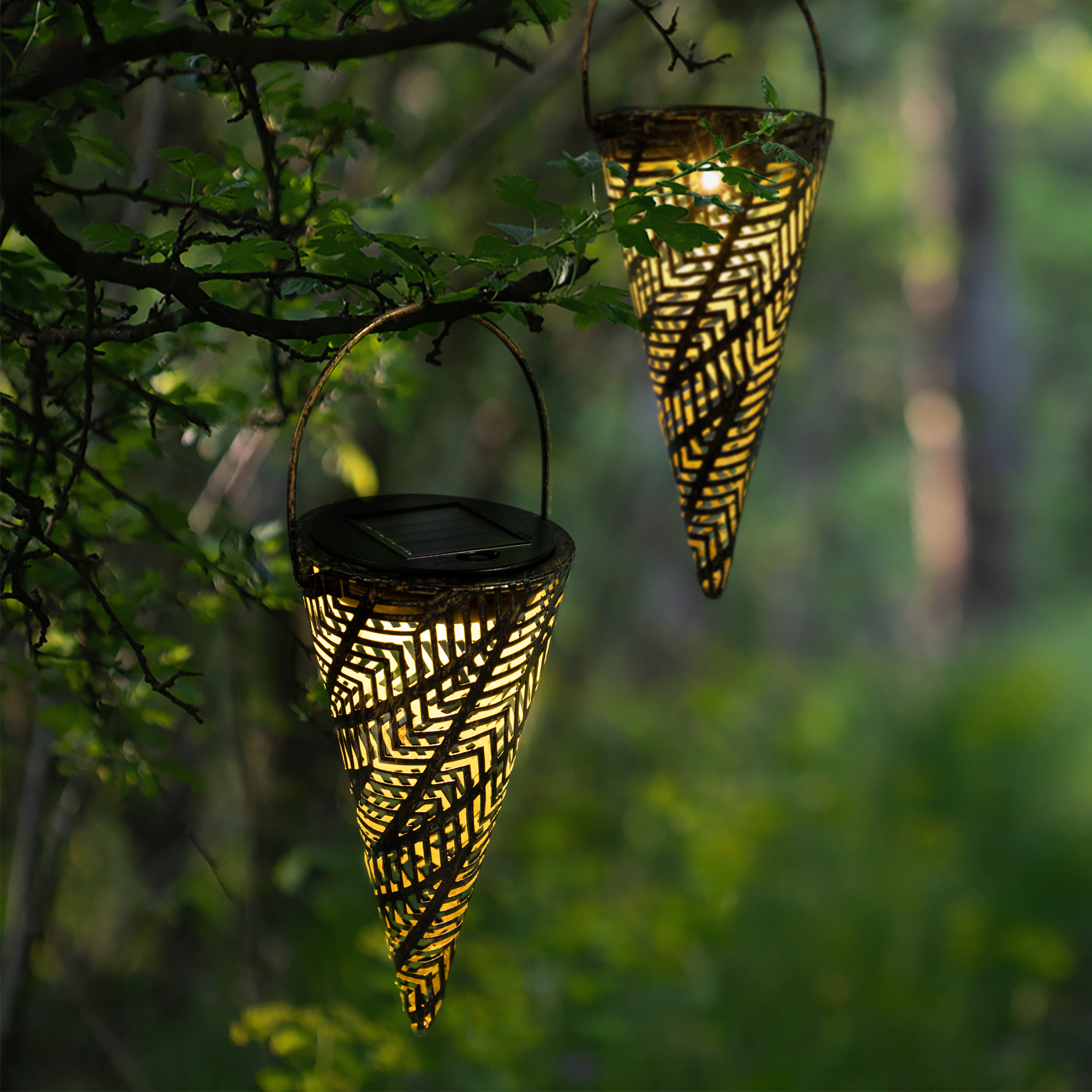 Wholesale solar landscape shop lights
